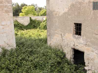 Gli unici due ingressi sono murati e il giardino � invaso dalla vegetazione cresciuta praticamente ovunque...